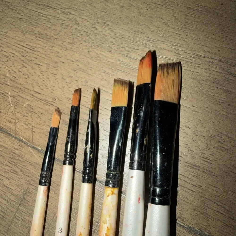 Bomeija Professional Watercolor Paint Brush Set 6 Pcs Slant Flat Well Loved Used